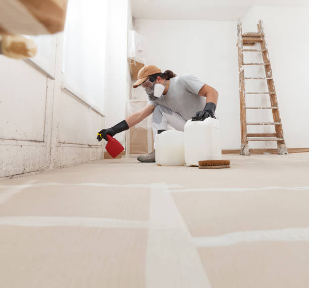 Best Mold Odor Removal Services  in Mount Pleasant, NC